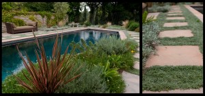 Miller path detail-2915