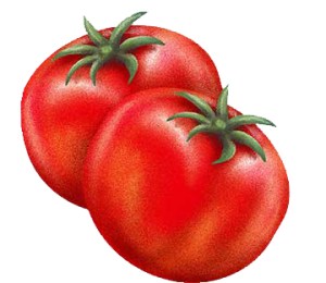 tomatoeaugustclipart