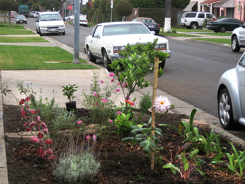 6060320363_218f15f4f4